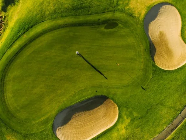 An aerial view of a golf green with two sand bunkers and a flagstick marking the hole.