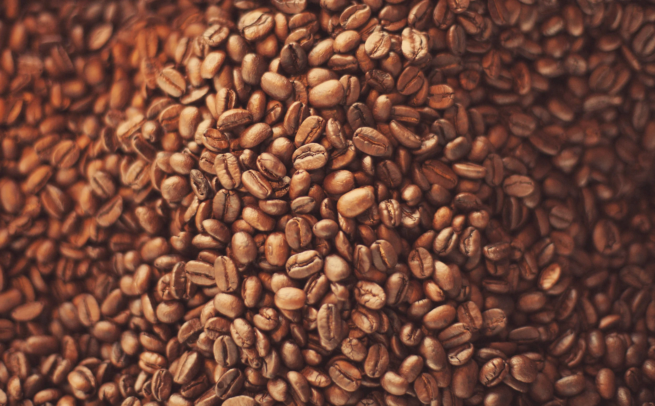 IMG_0249coffeebeansF.jpg