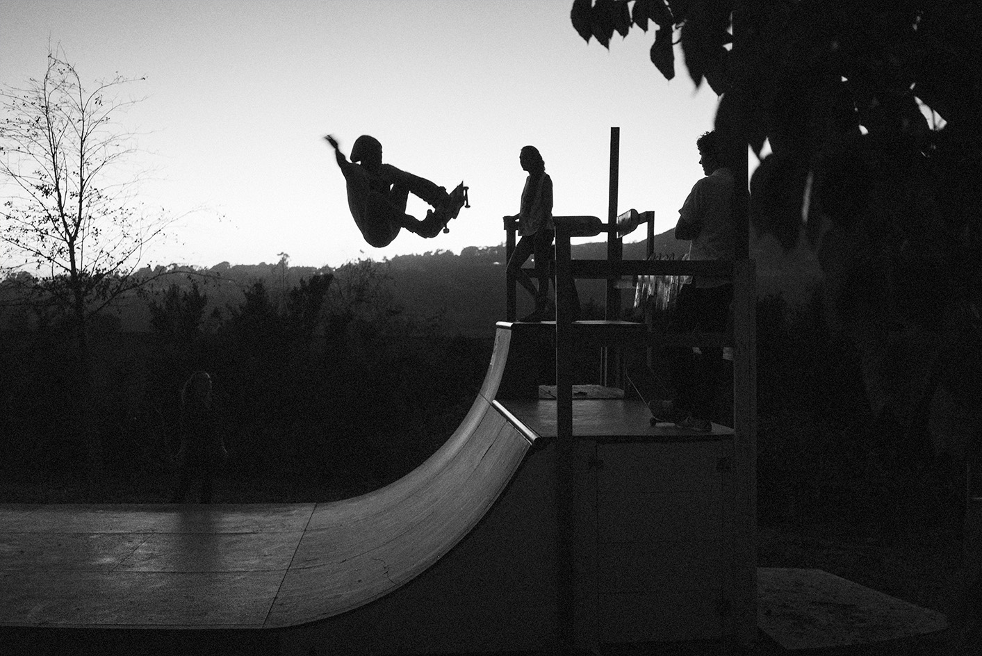 DSC01588skateblkwhtF.jpg