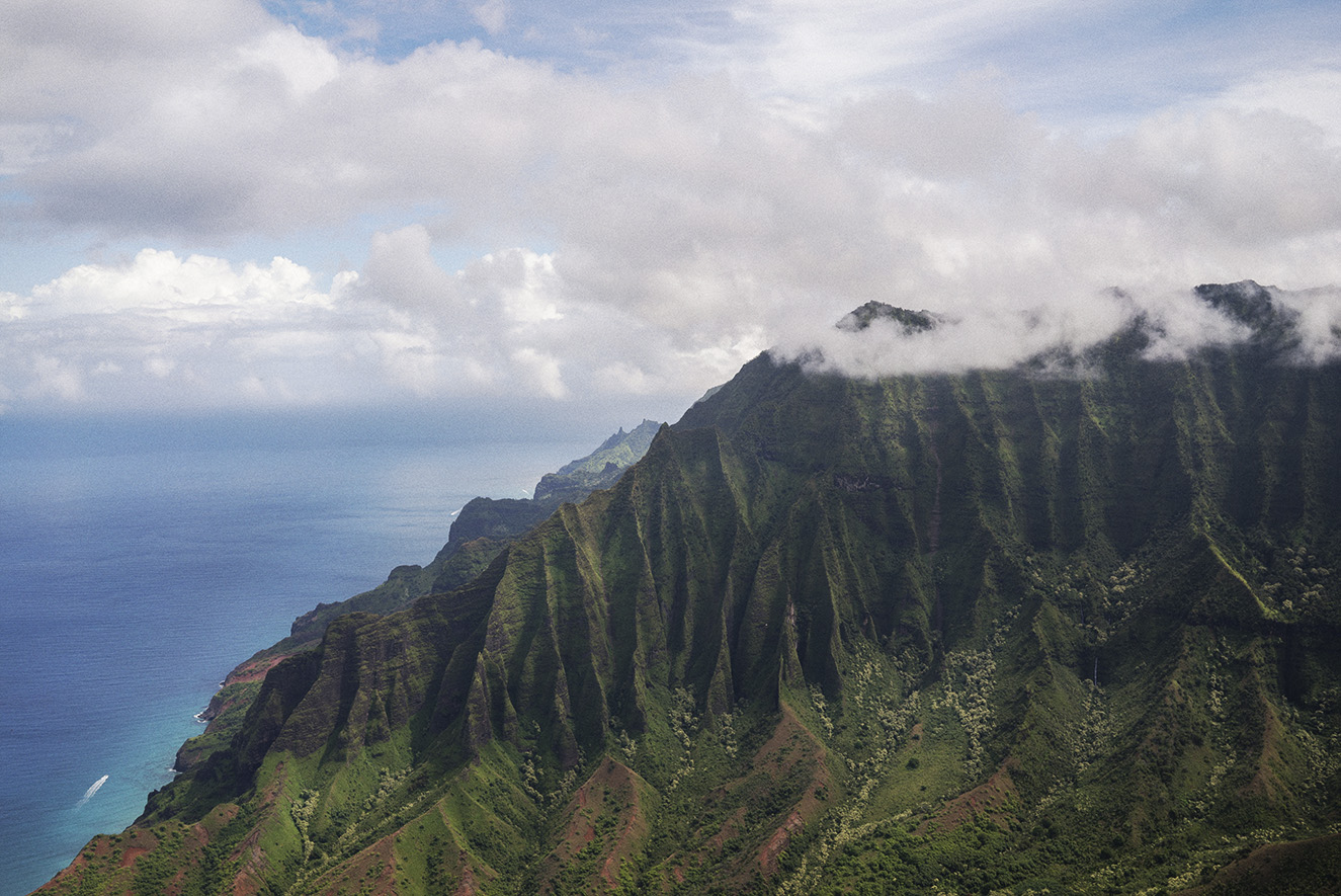 DSC00140KauaiF.jpg