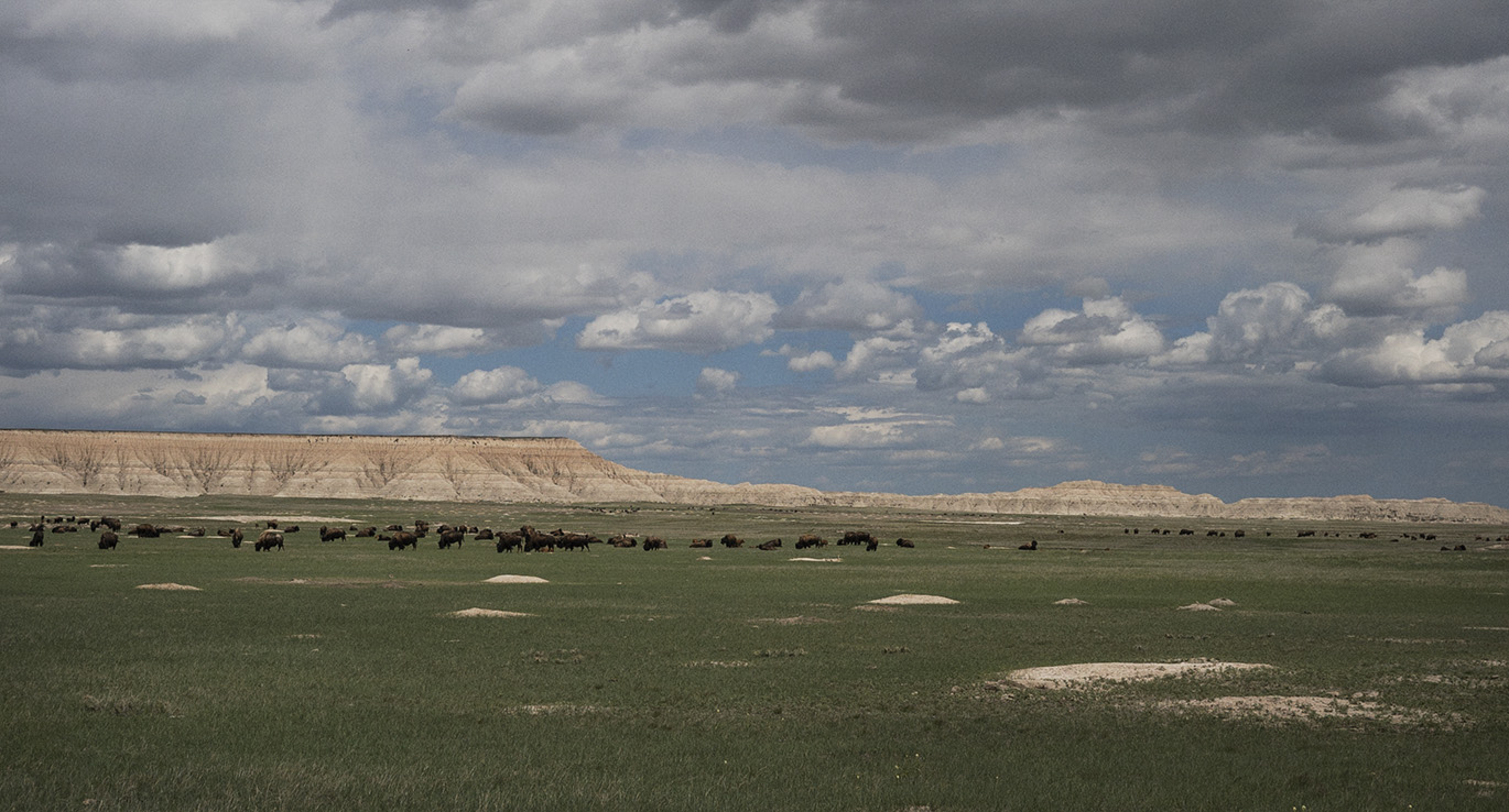 DSC03719southdakotaF.jpg