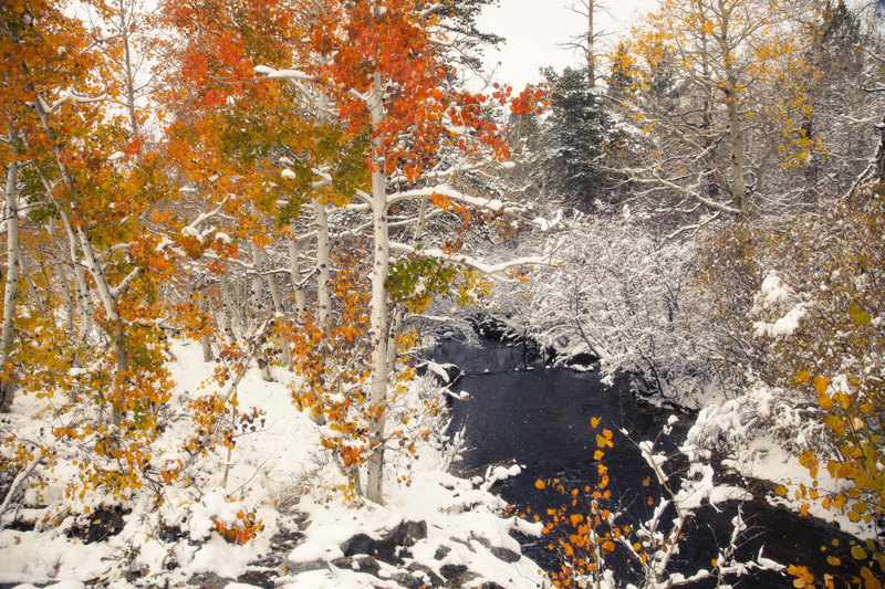 IMG_0104snowcreekF.jpg