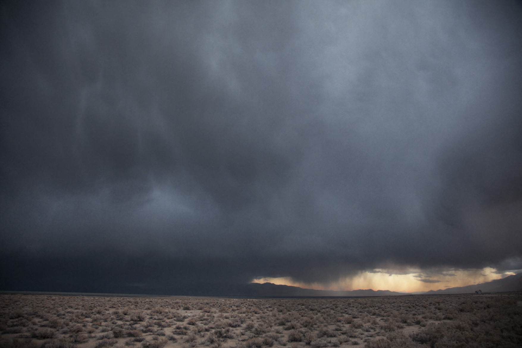 IMG_0324desertstormFF.jpg