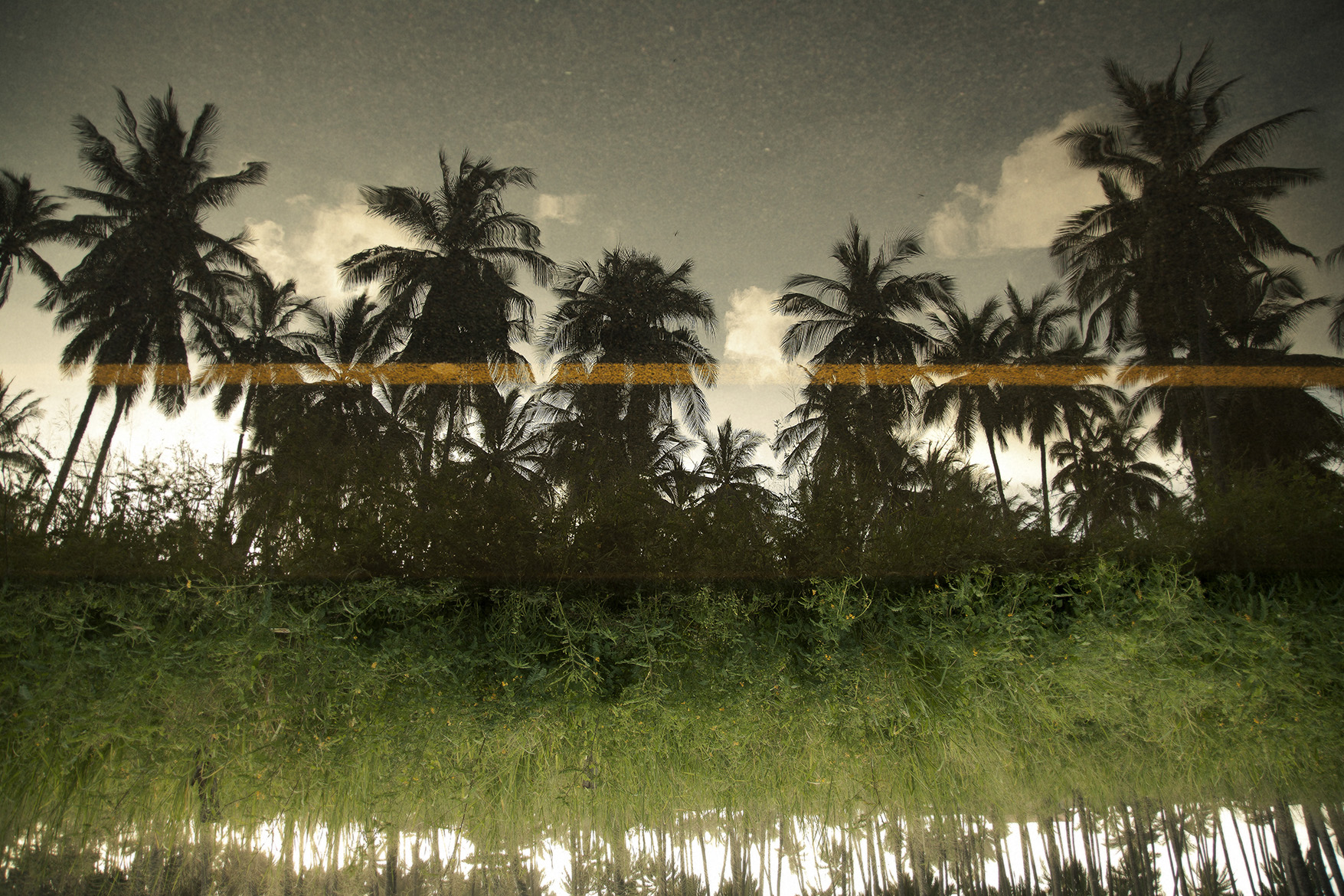 IMG_5846_reflectingFlowres.jpg