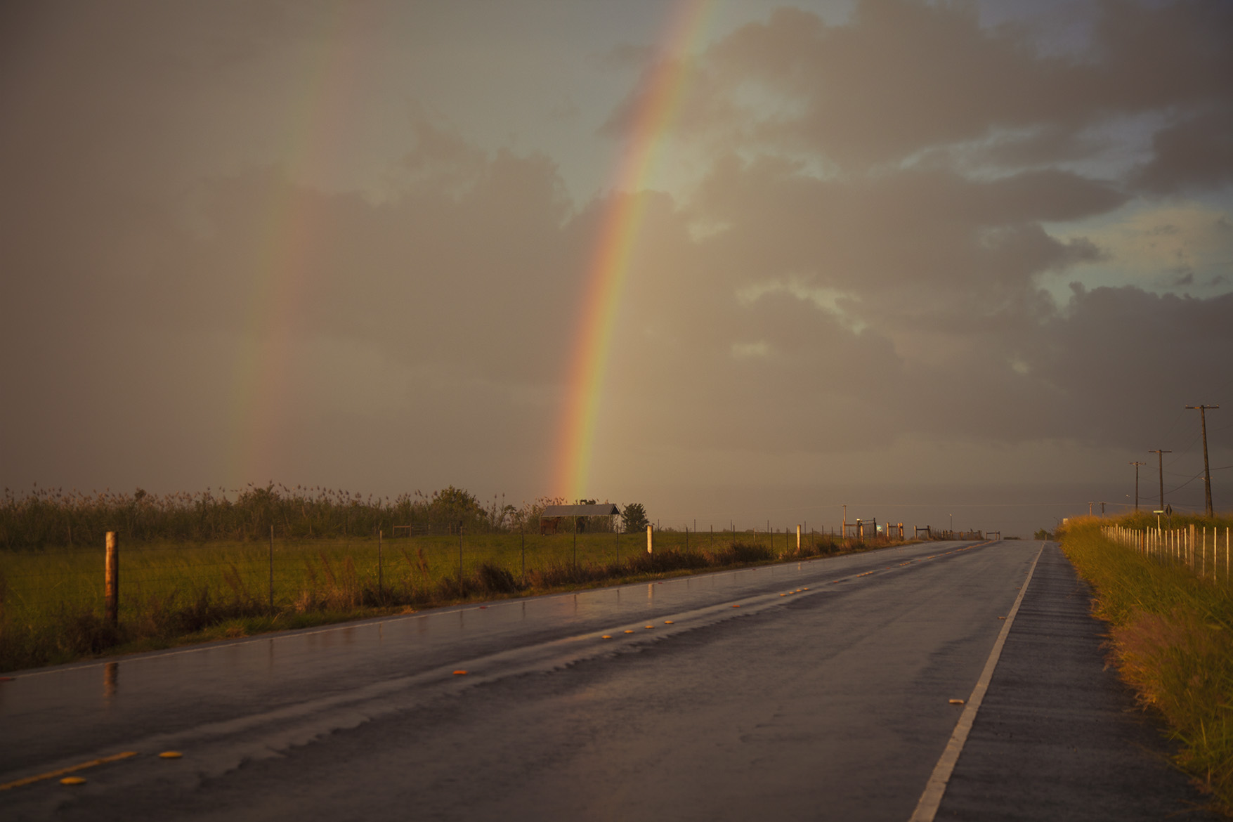 IMG_6688rainbowroad.jpg