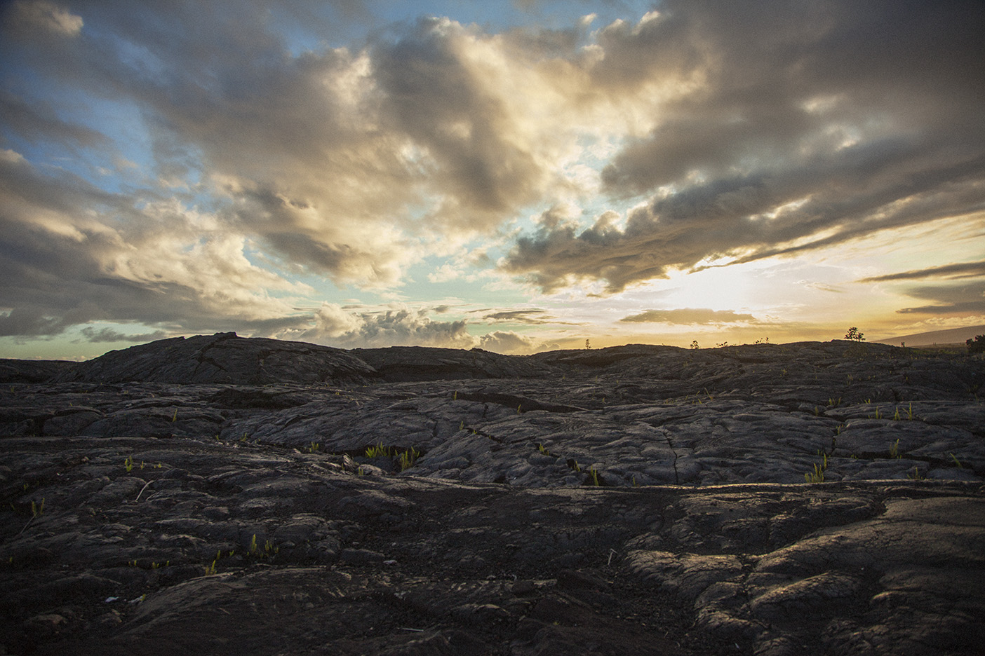 IMG_7397bigislandF.jpg