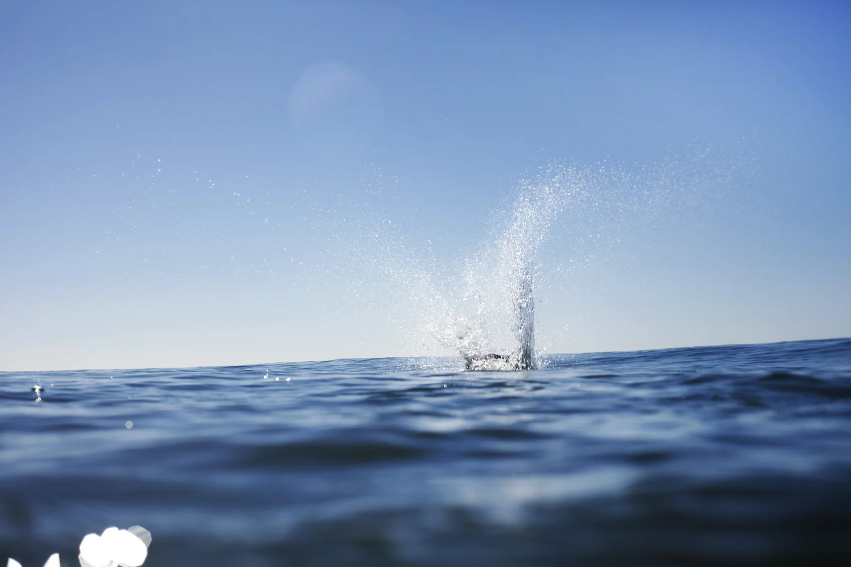 IMG_3657_splashF.jpg