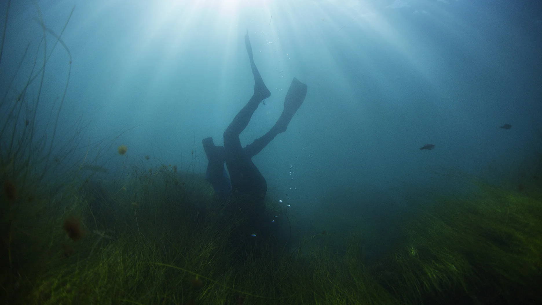 IMG_7439_diveF.jpg