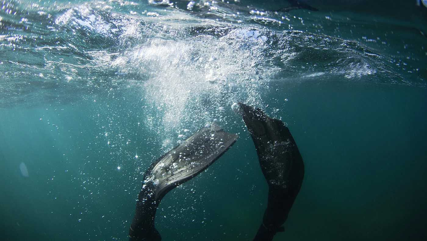 IMG_7451_diveF.jpg