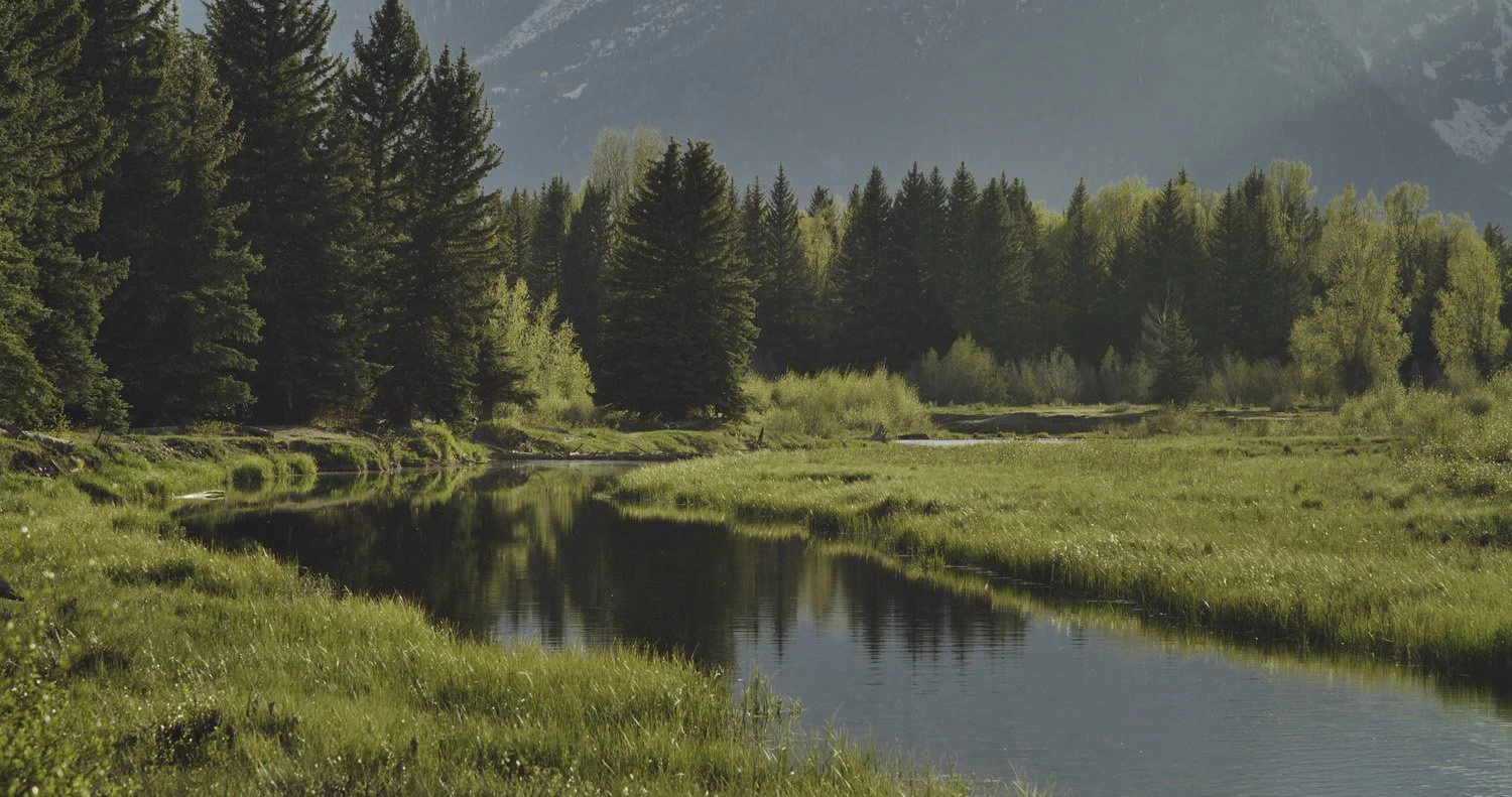 A002_A020_06076S.0000010_FP_GOES WEST.jpg