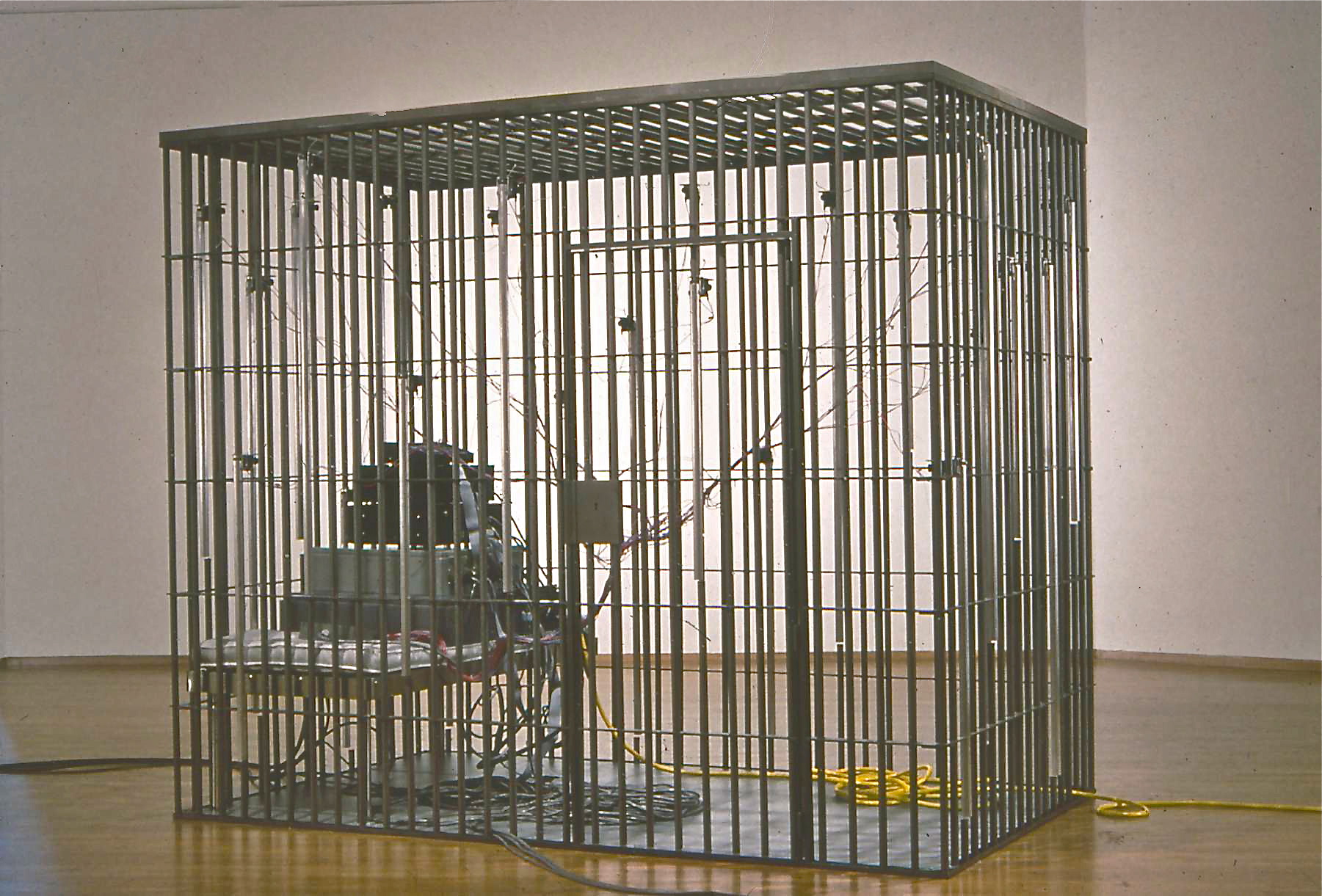 BELLES JAIL.jpg