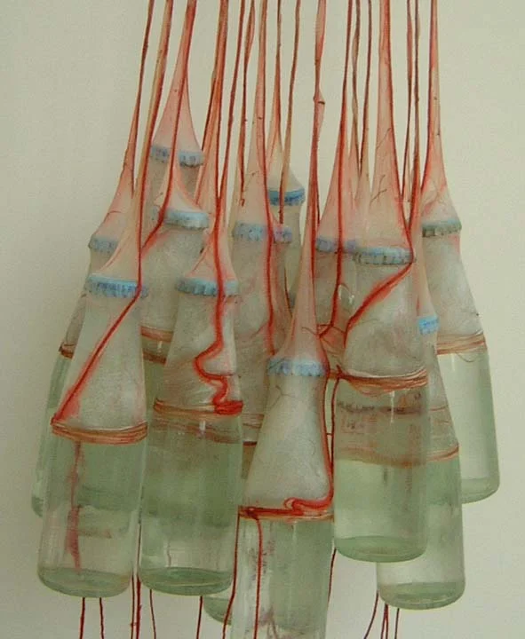 bottles cu.jpg