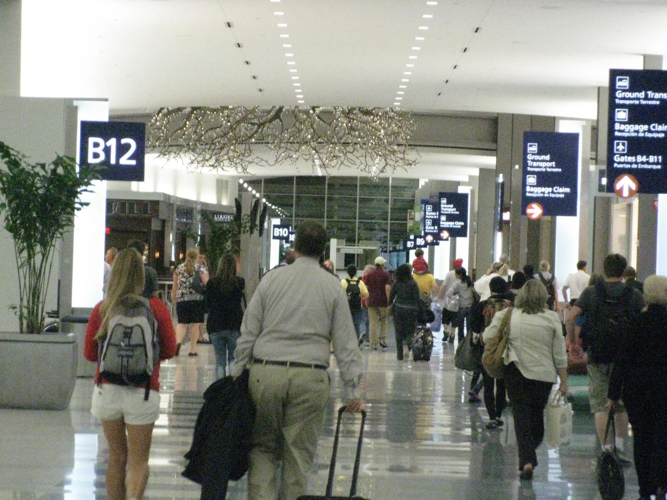 2011-10-08 Art tree 1.JPG