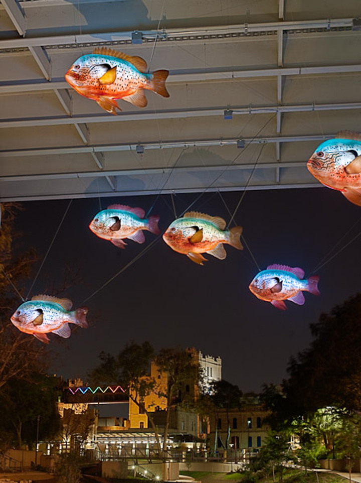 fish_final1.jpg