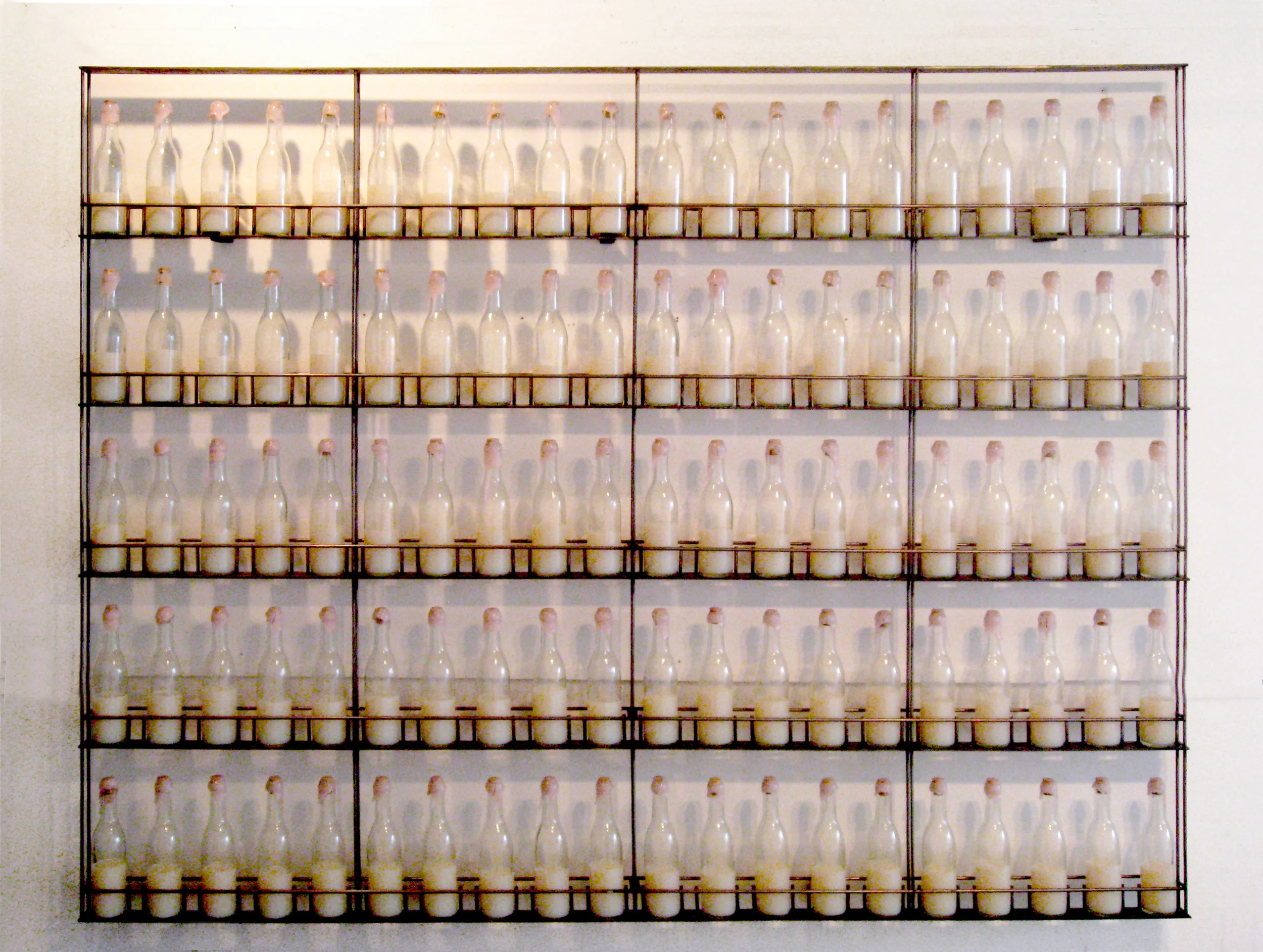 100 bottles.jpg