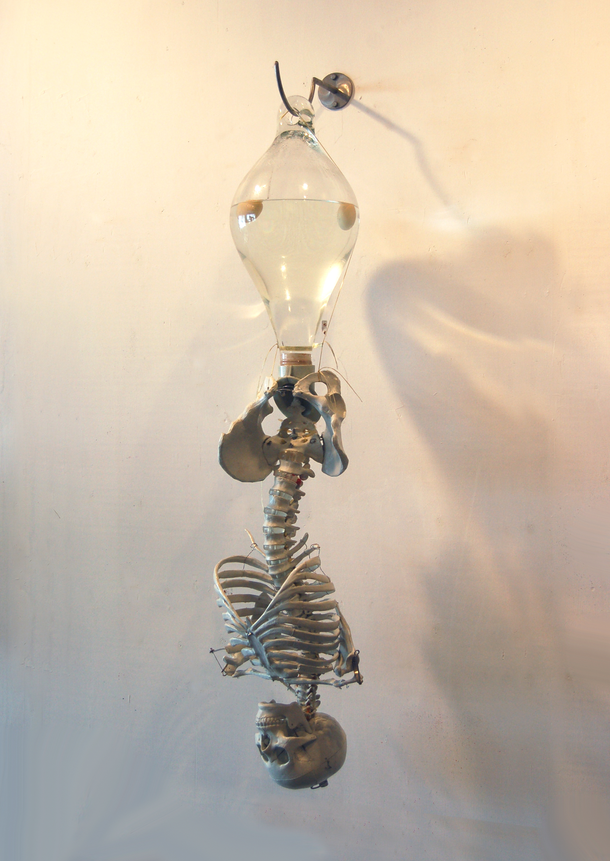 Untitled w:torso:eggs:water.jpg