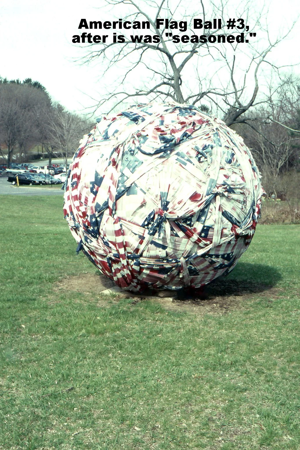 big flag ball 2.jpg