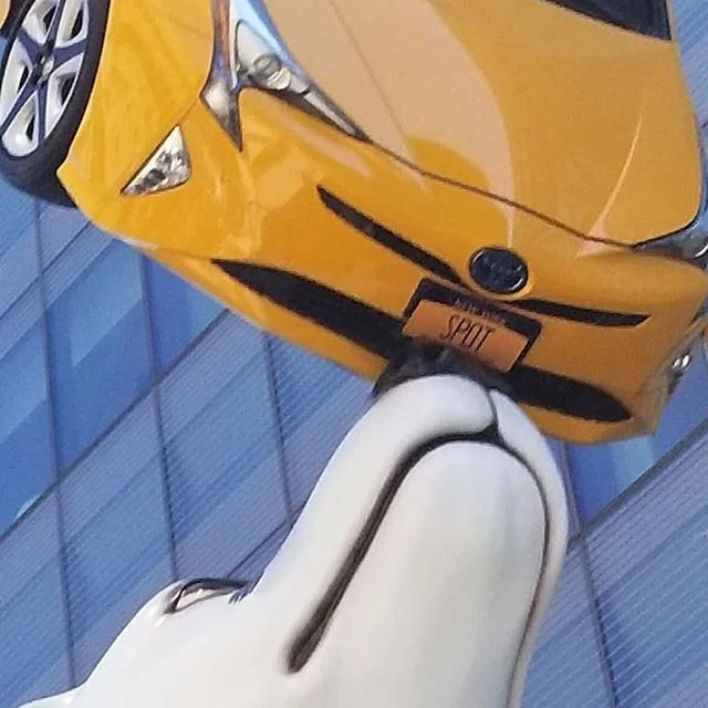 36521645_1441380195995768_70595093249130496_n.jpg