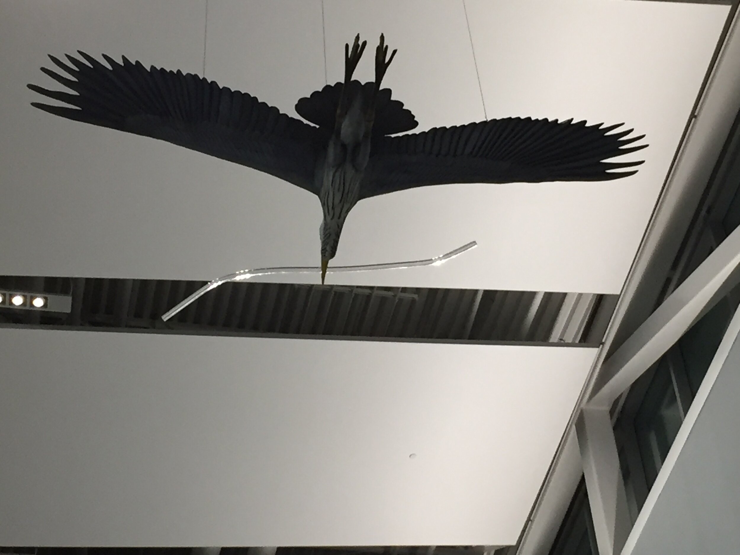 IMG_4188.jpeg