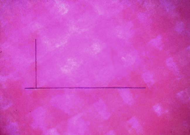 acrylic on arches paper 31 in. x 23 in. 1979