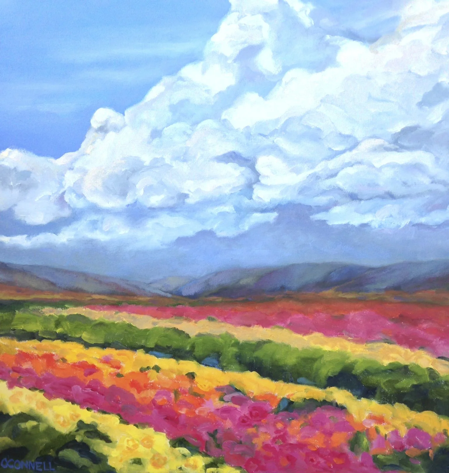 OConnell_Flowerfields.jpeg