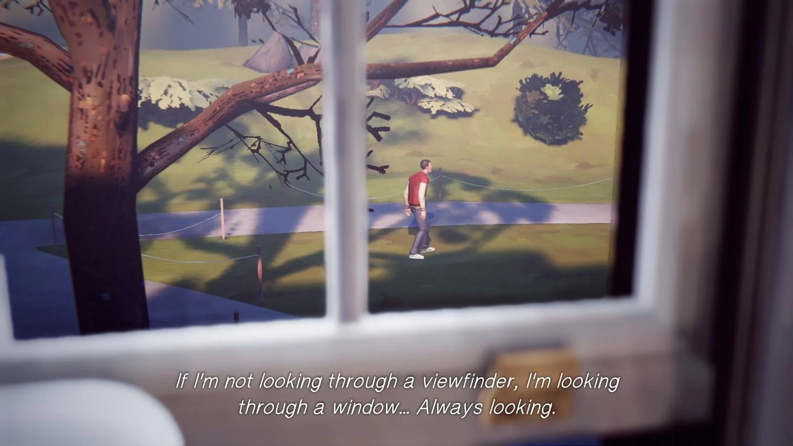 A screencap of Max's view through a window, with the text: "If I'm not looking through a viewfinder, I'm looking through a window... Always looking."