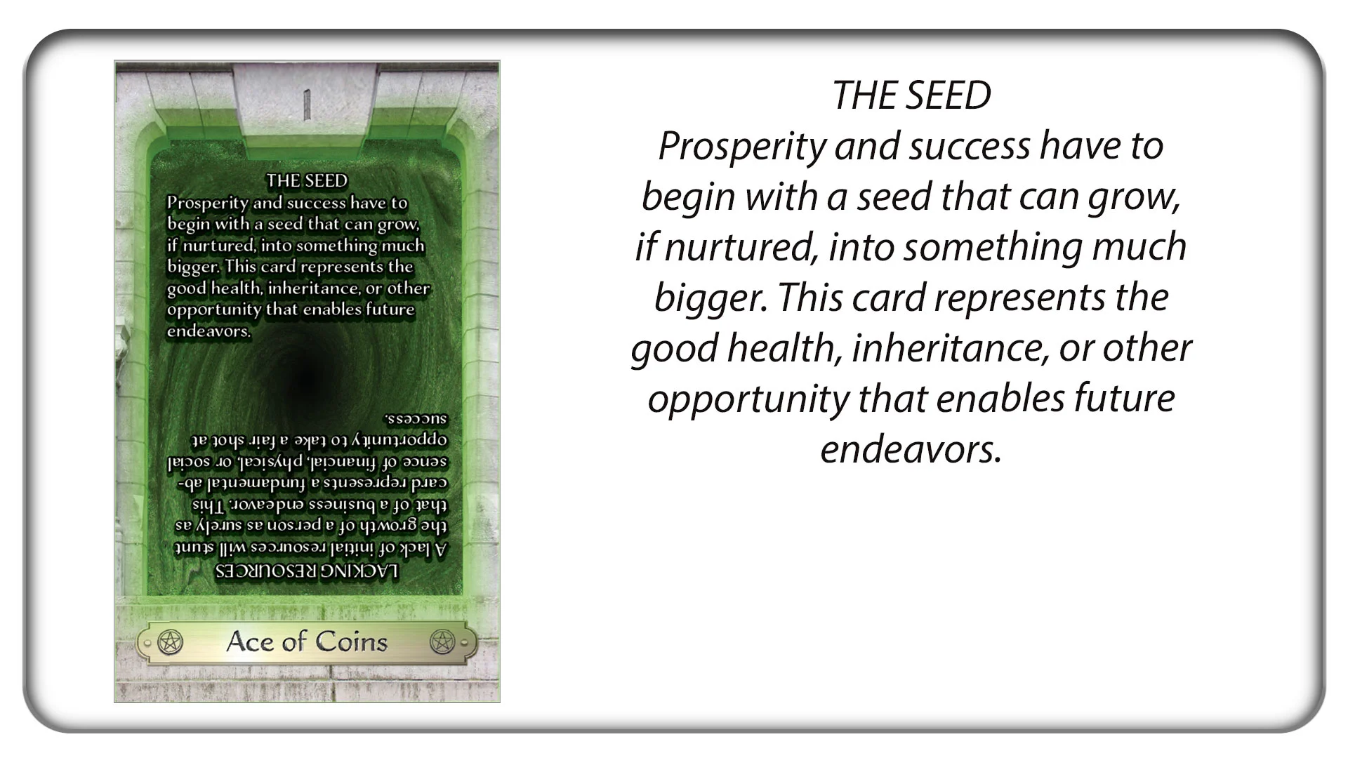 The Ace of Coins: The Seed