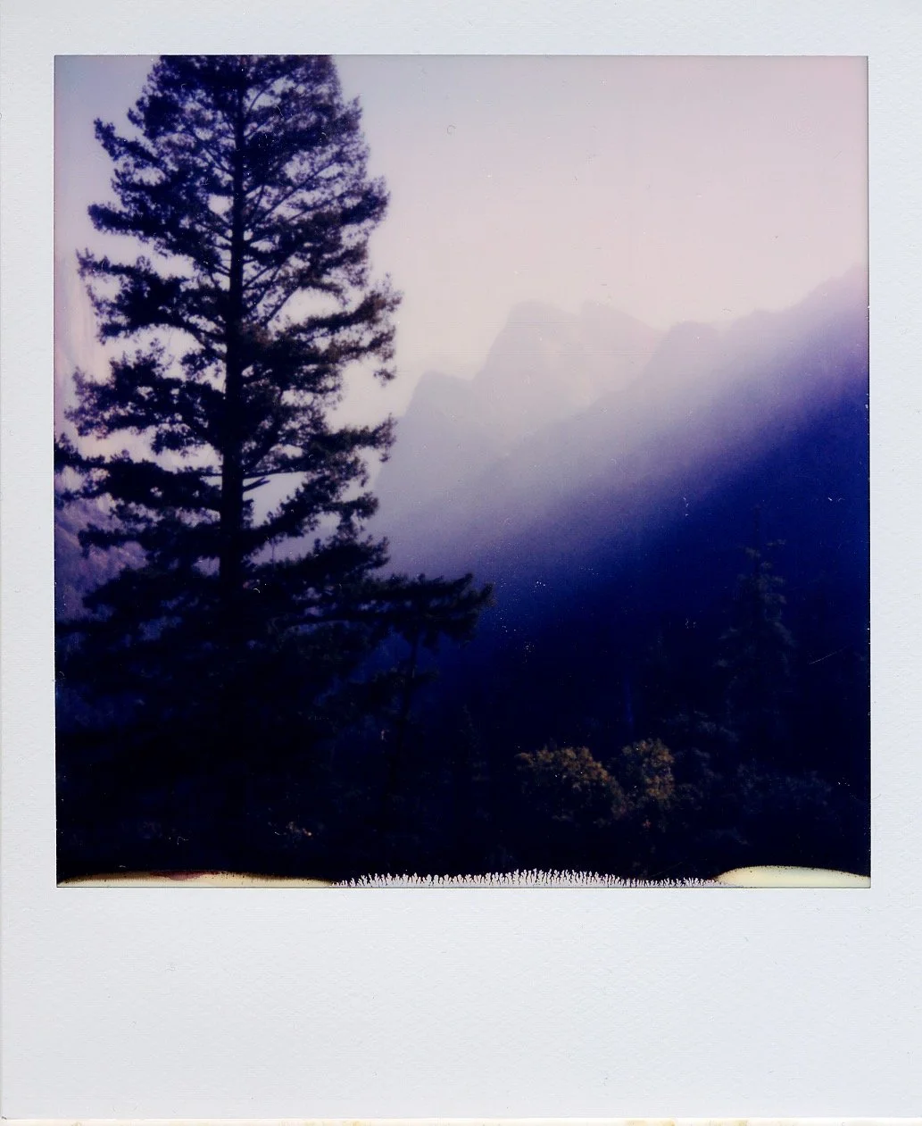 Yosemite National Park, Landscape Polaroid