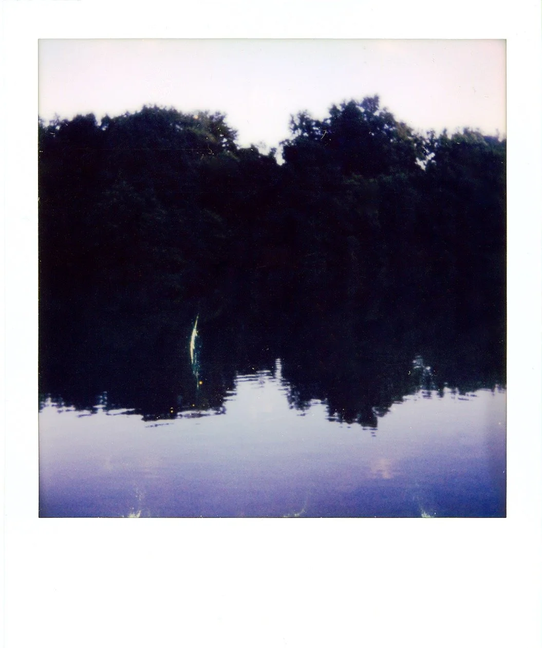 Central Park, Landscape Polaroid