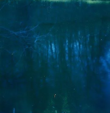 Winter Pond, Polaroid