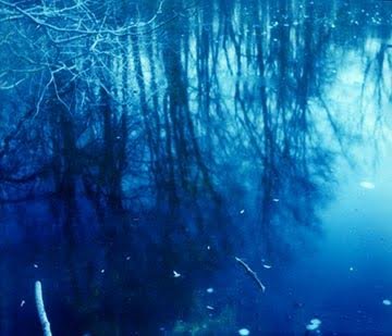 Winter Pond, Polaroid