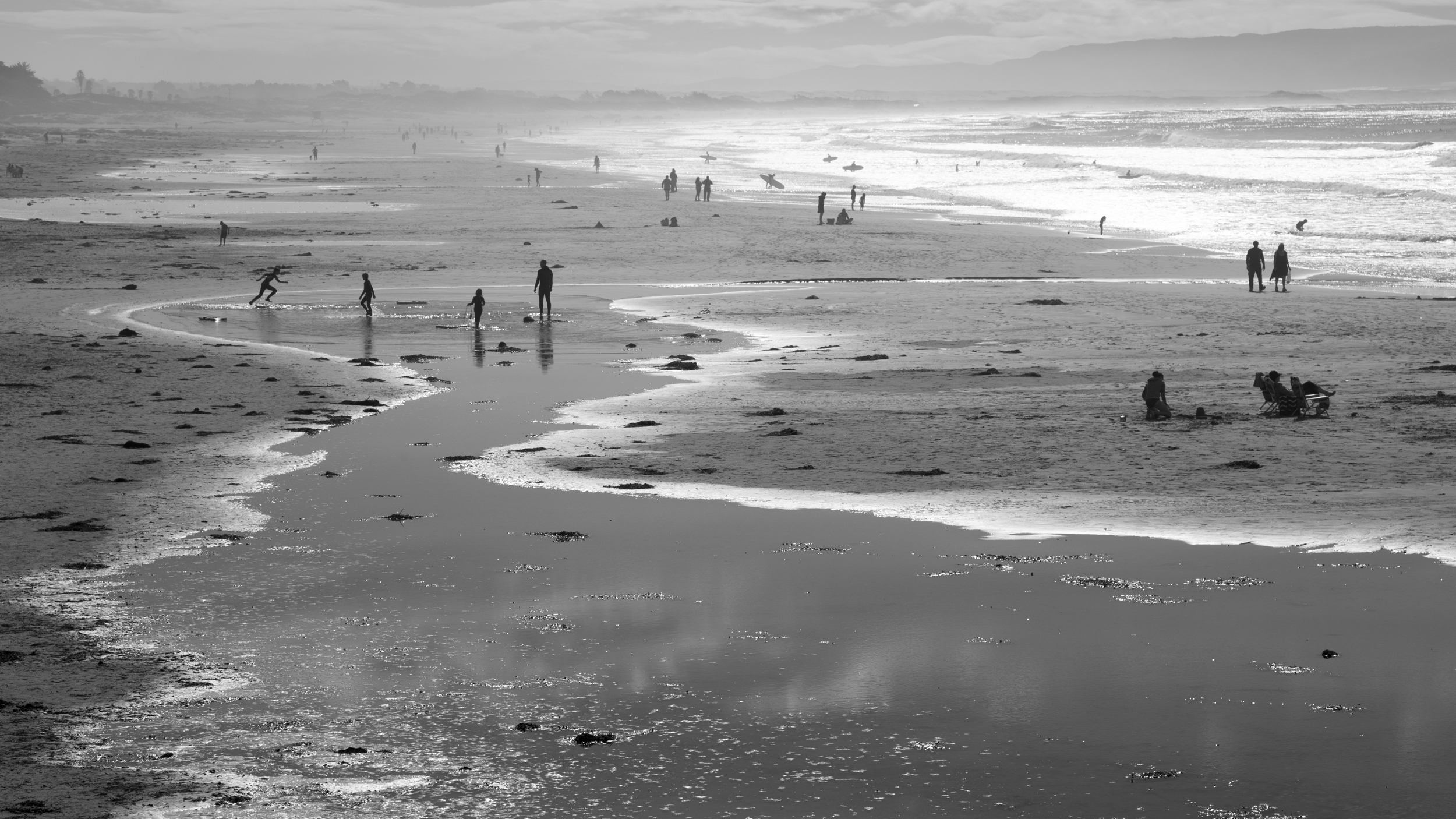 Beach Oddity