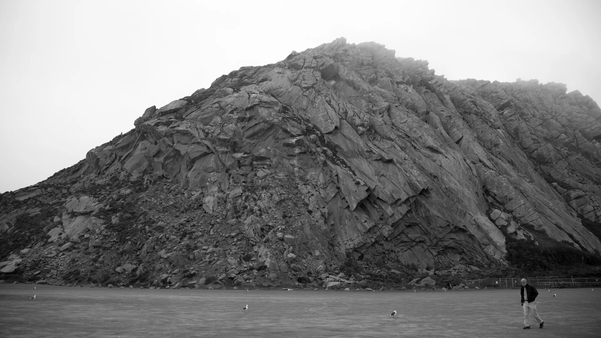 Frontal Process of the Volcanic Neck