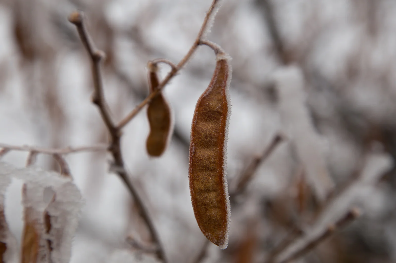 Beads on a String