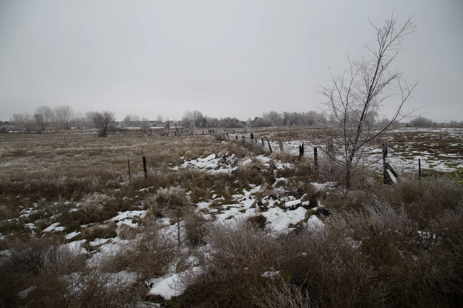 The Bucolic Void