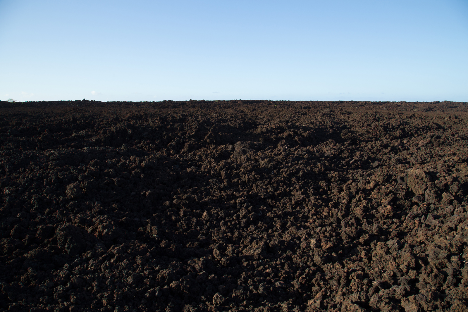 Lava Field