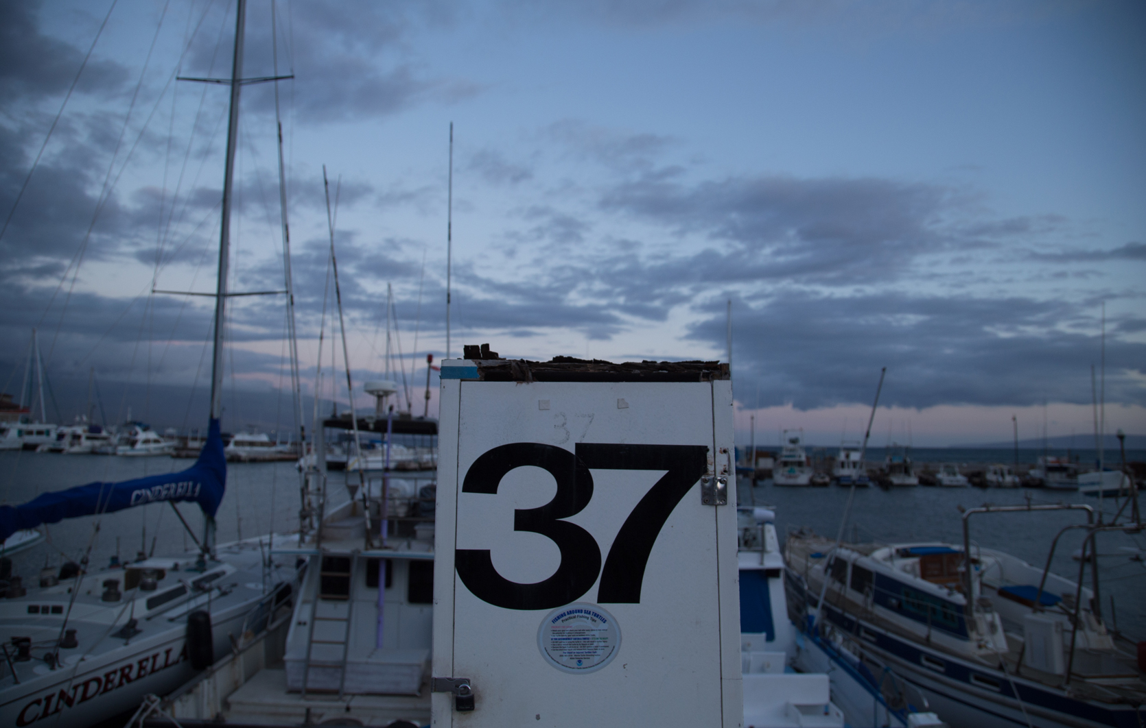 Thirty Seven