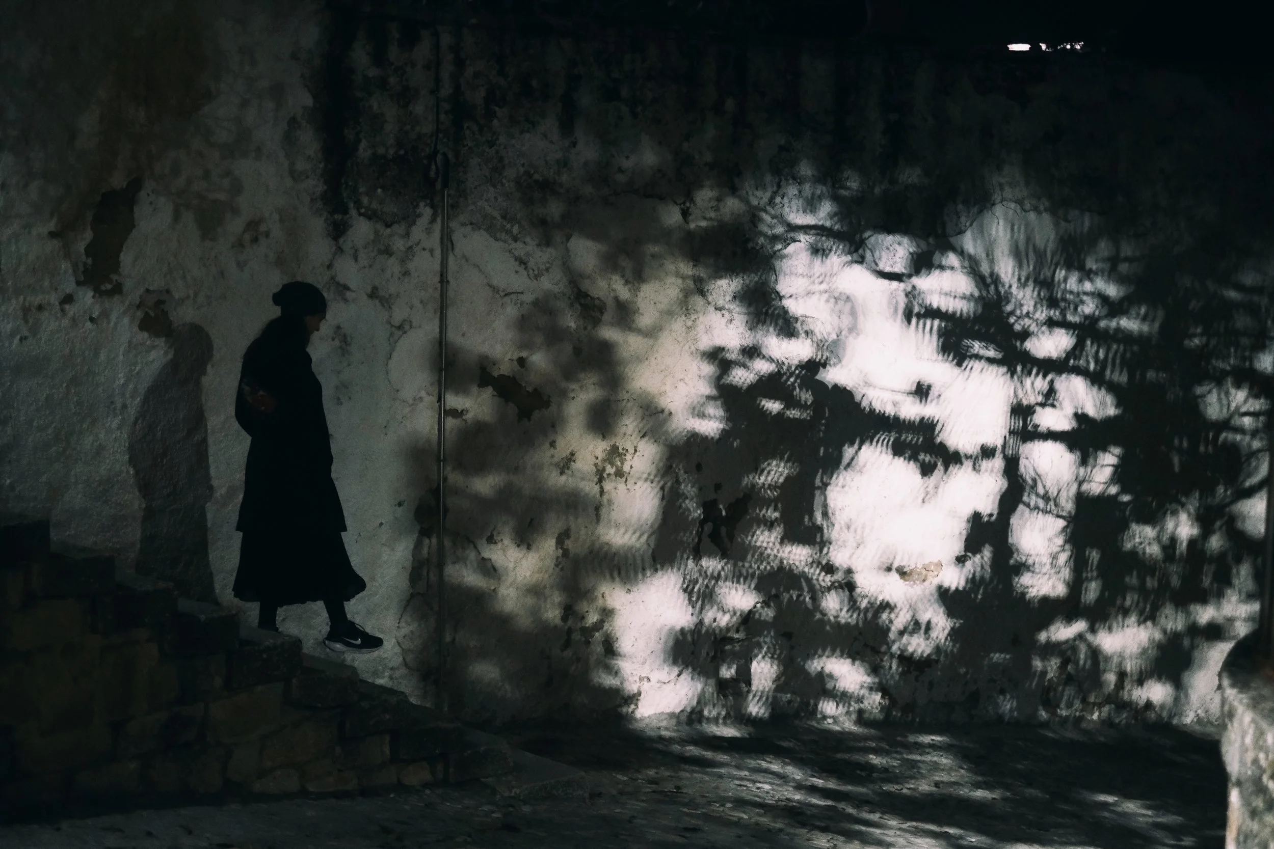 ronda - shaddowshow.jpg