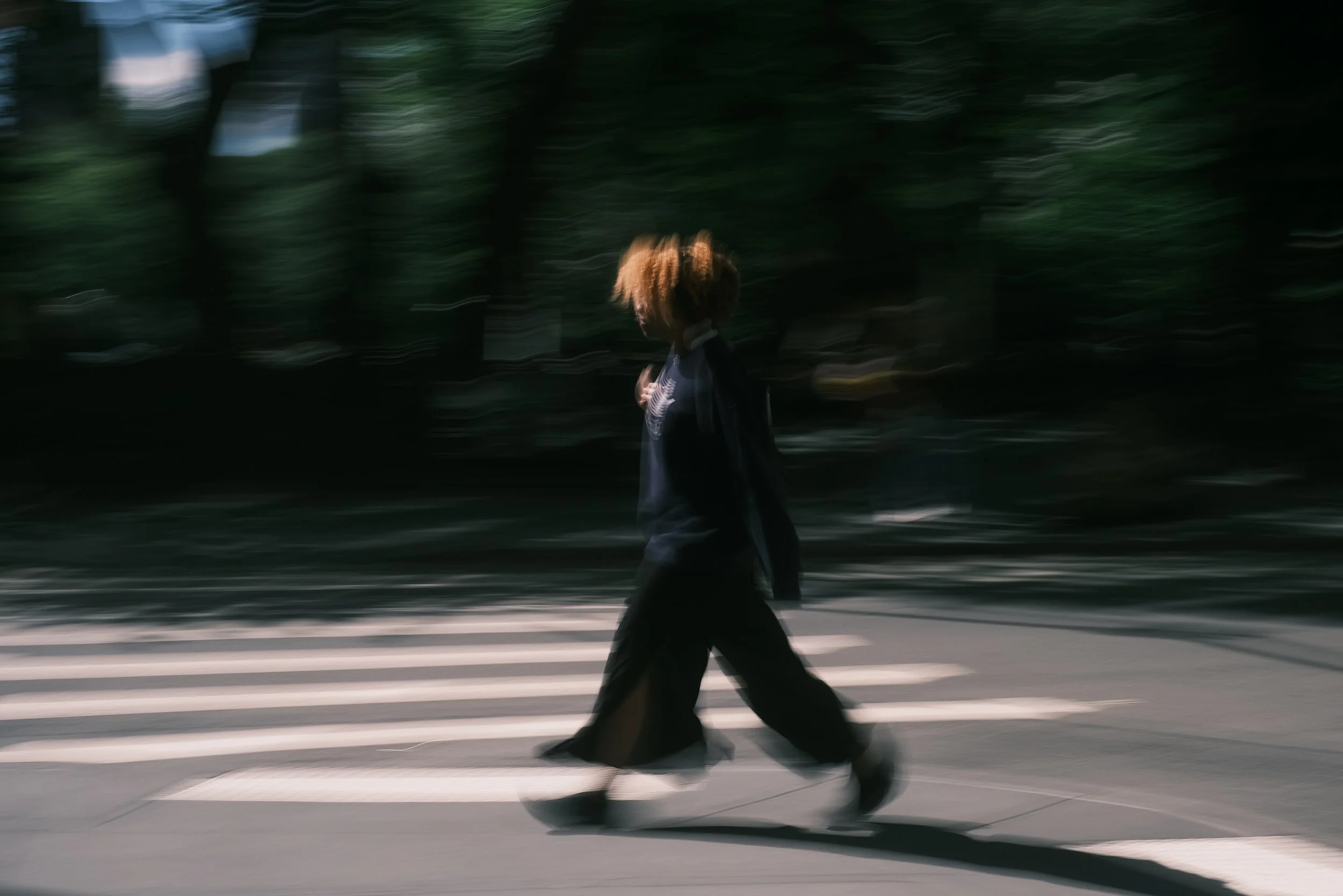 new york - park walk.jpg