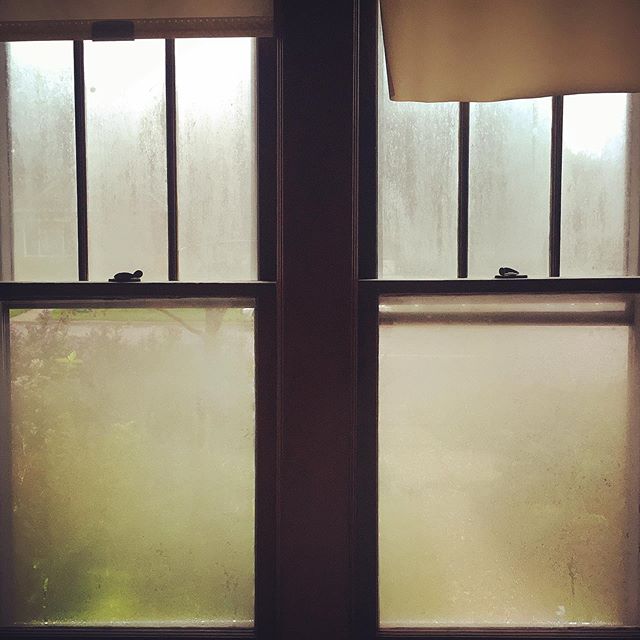 Rain Fog