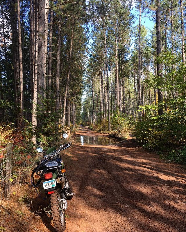 Got Lost.