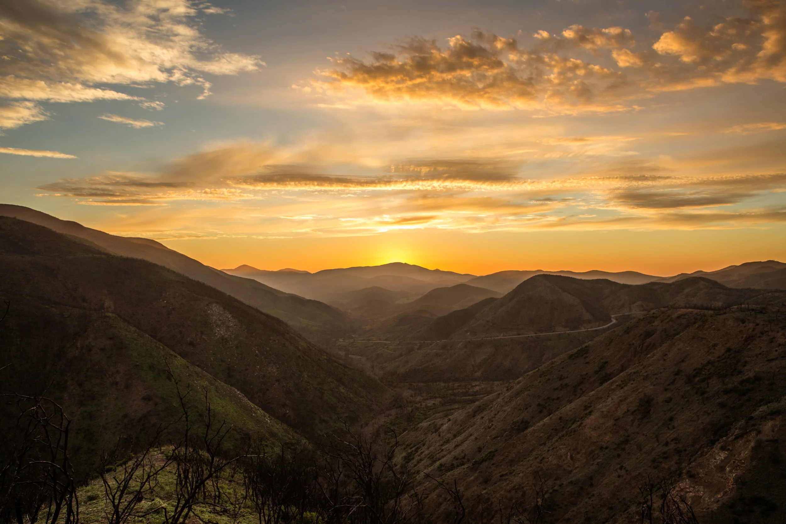 Newbury Park, CA // January 30th 2015