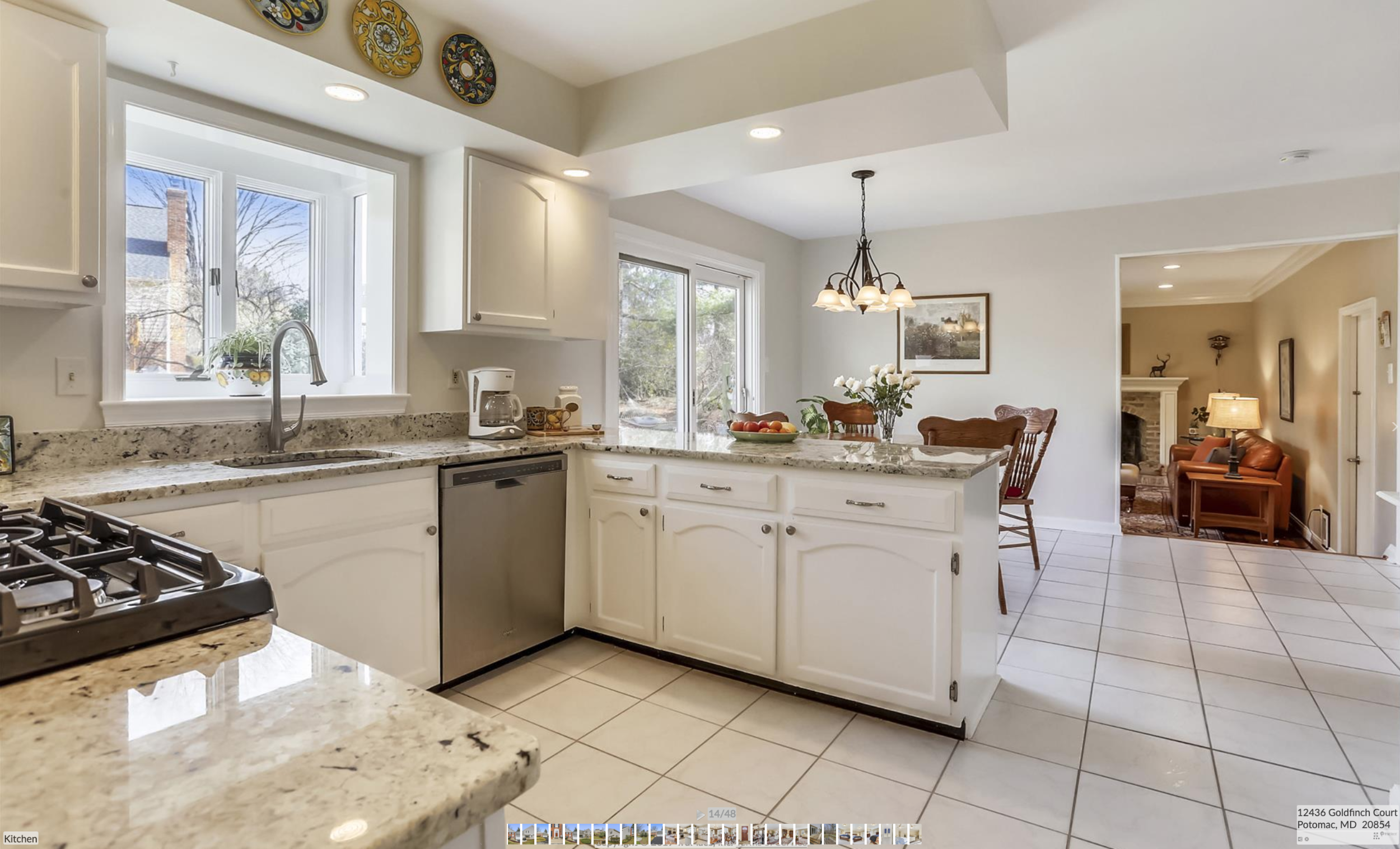 Goldfinch_Kitchen 2.png