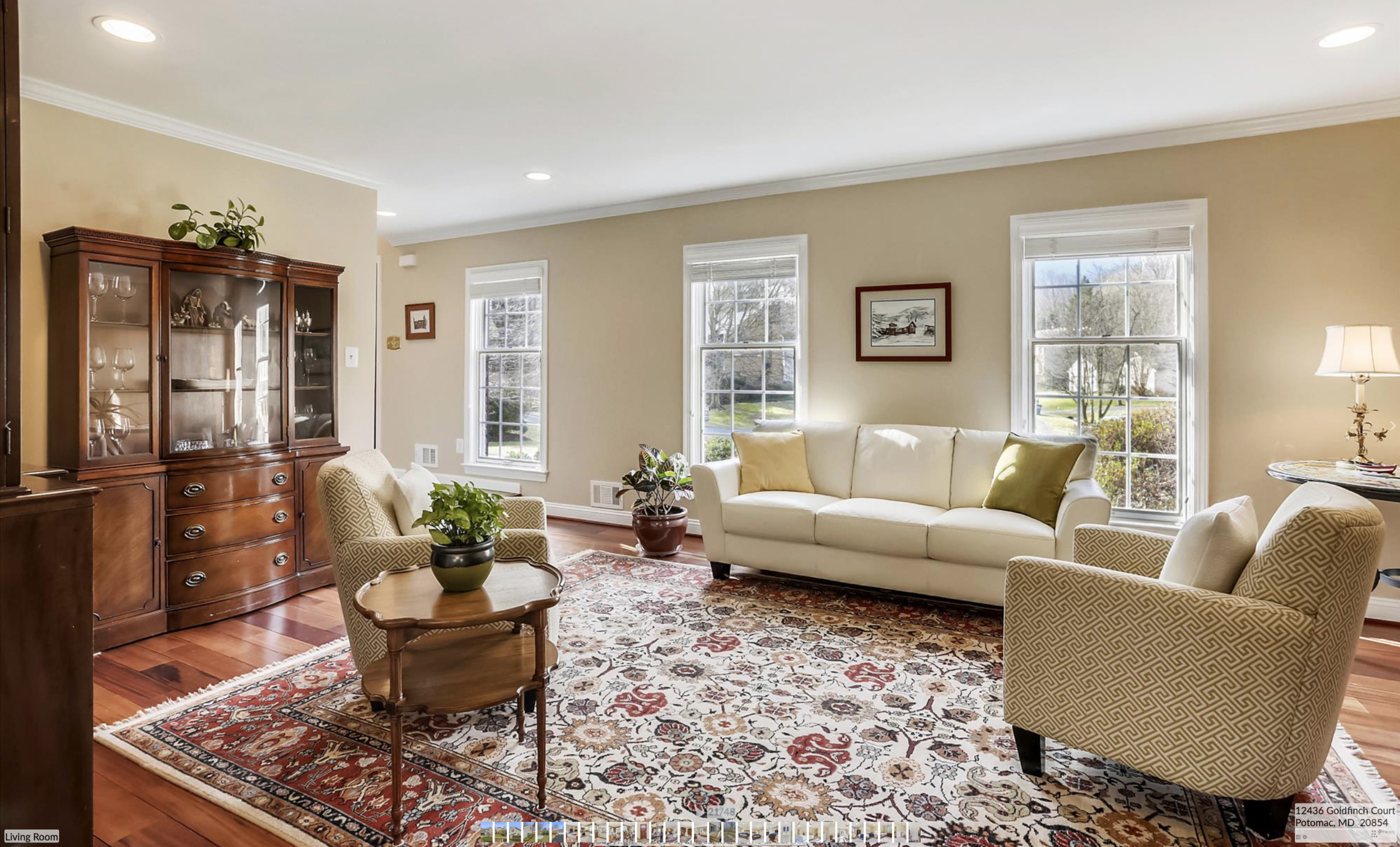 Goldfinch_Living Room.png