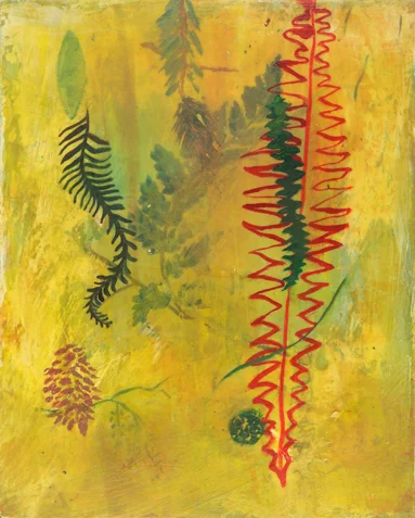 Ferns I
