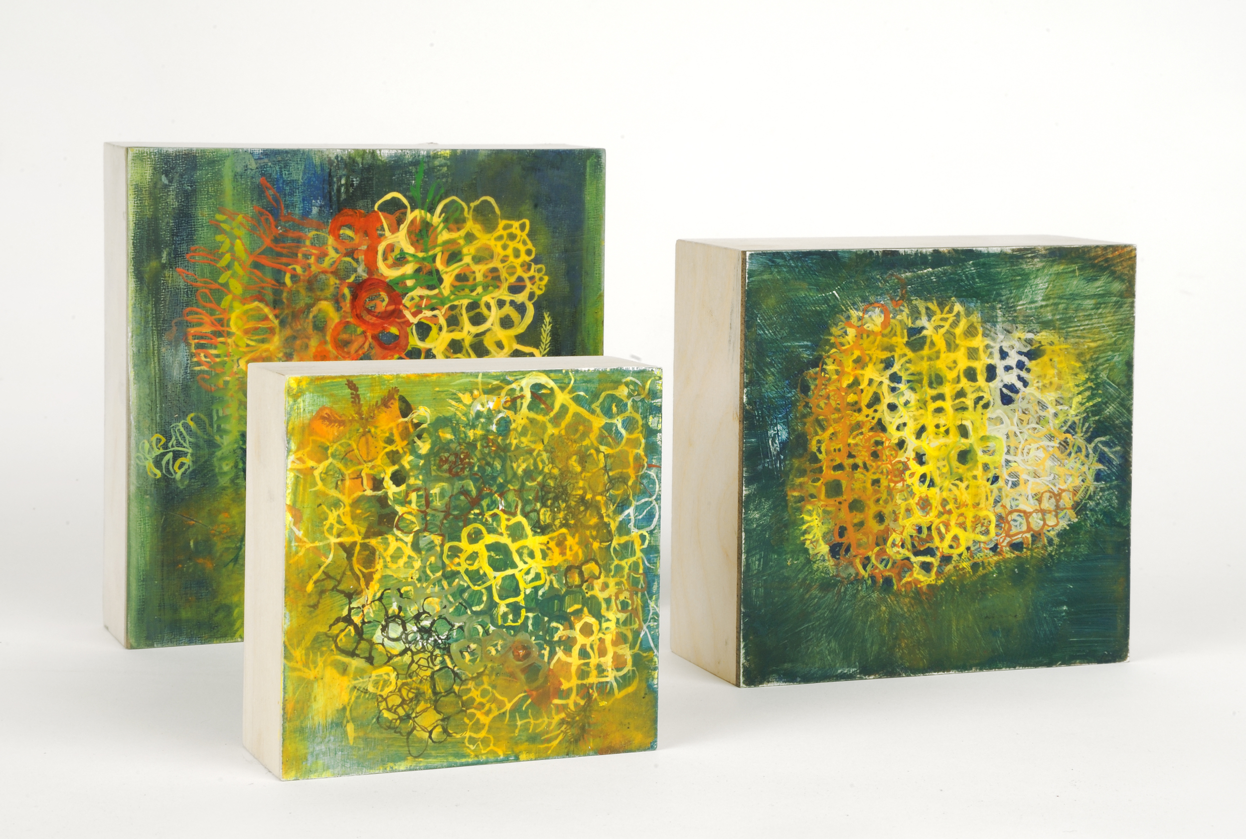 Moss Series