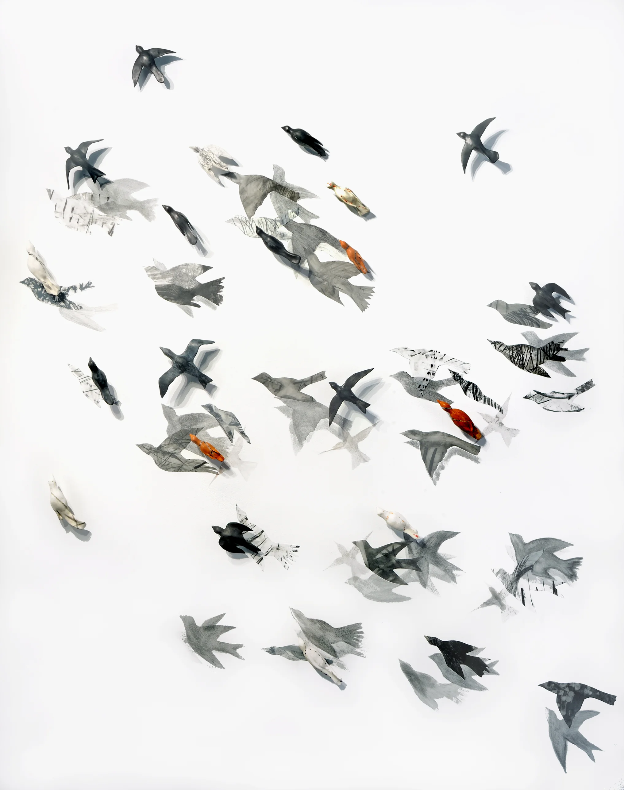 Murmurations 5