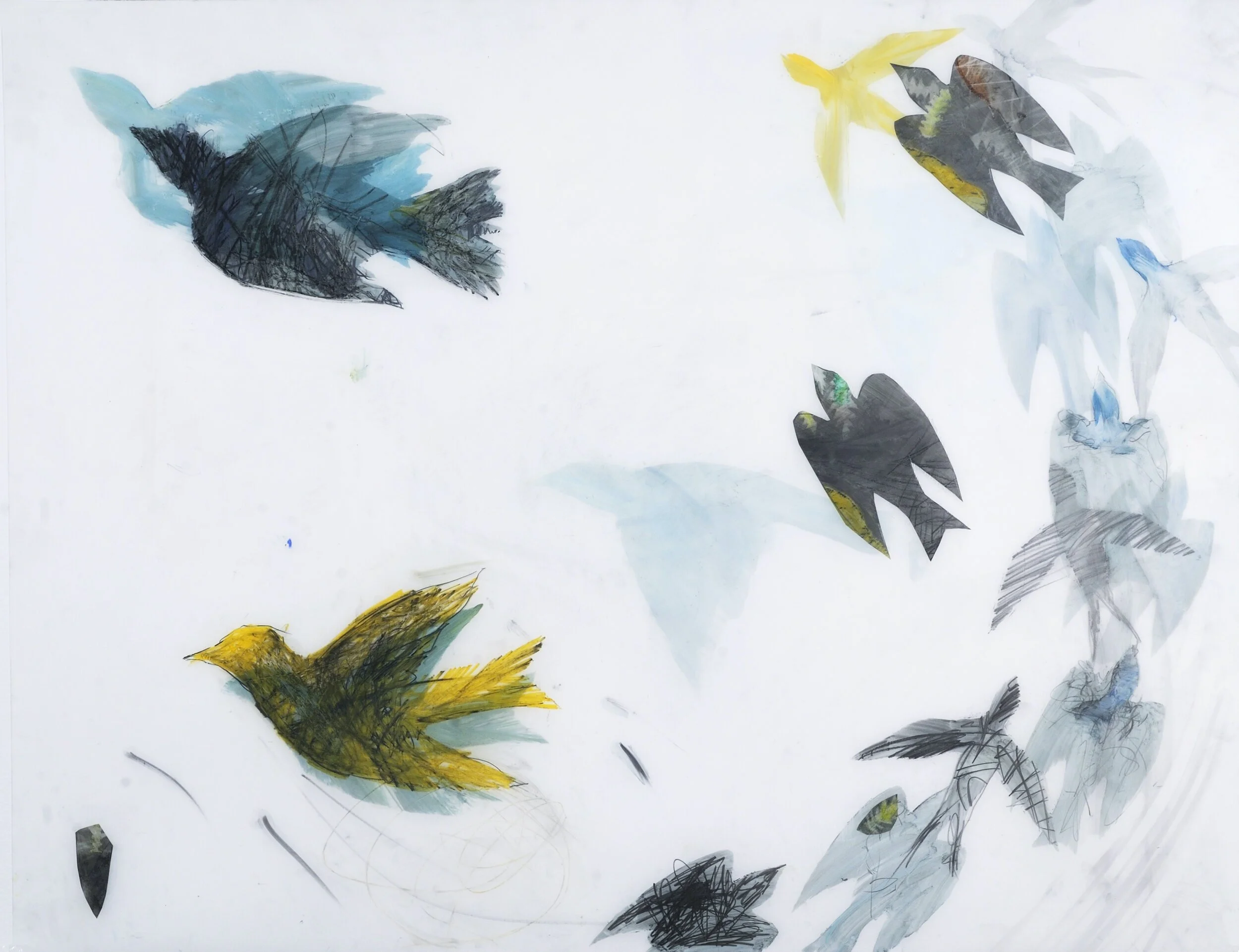 Yellow Migration (with wind)