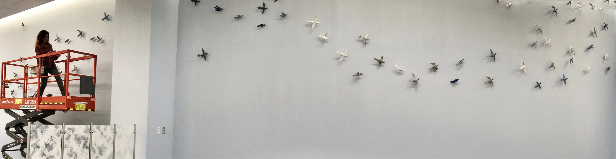 Murmuration, Schar Cancer Institute