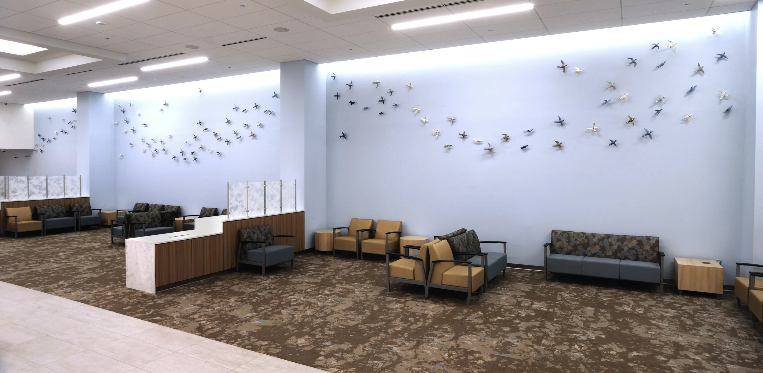 Murmuration